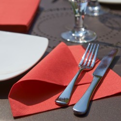 2400 SERVIETTES OUATE 2 PLIS 38 X 38 ROUGE