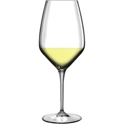 6 VERRES A PIEDS ATELIER RIESLING 44CL