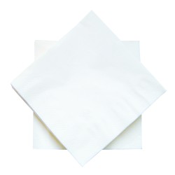 3000 SERVIETTES OUATE 2 PLIS 30X30-BLANCHES