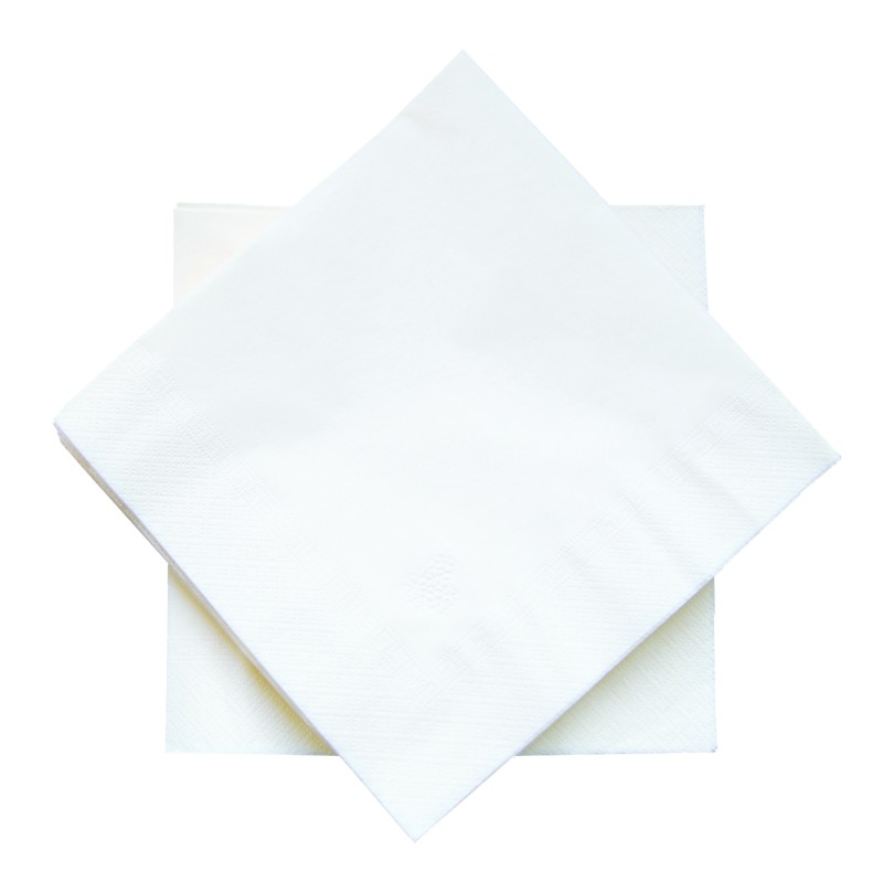 3000 SERVIETTES OUATE 2 PLIS 30X30-BLANCHES