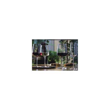 6 VERRES A VIN NEXO 54CL