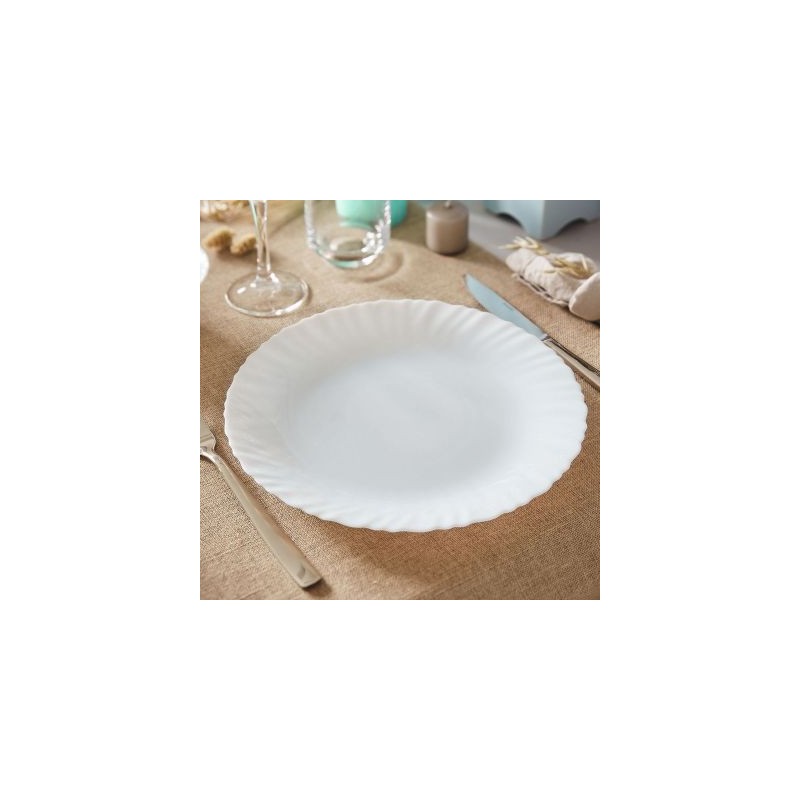 24 ASSIETTES PLATES FESTON 25CM