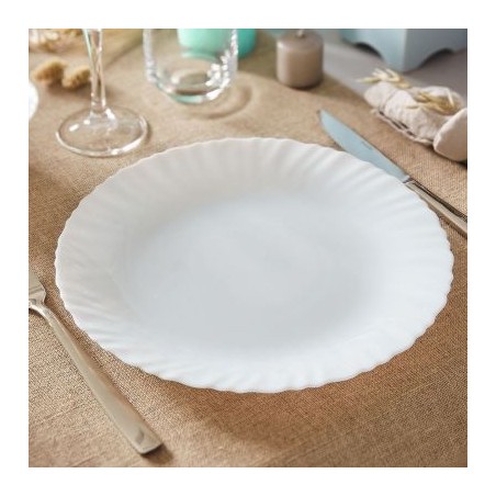 24 ASSIETTES PLATES FESTON 25CM