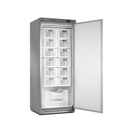 Armoire froide statique négative inox -18°C 0 -22°C 1 porte