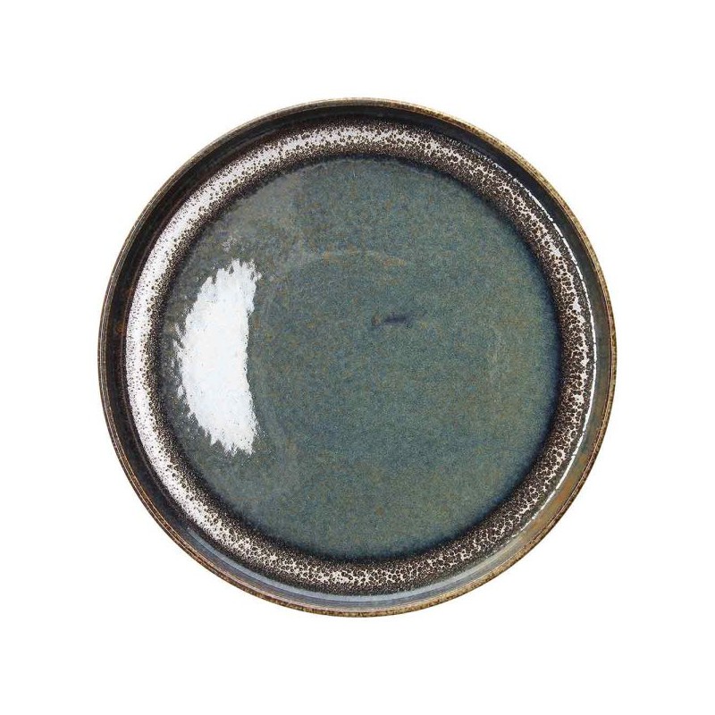 6 ASSIETTES PLATES 27CM BLOOM BLUE AND BROWN