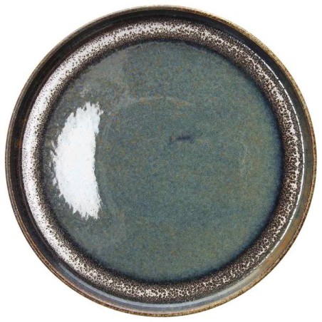 6 ASSIETTES PLATES 27CM BLOOM BLUE AND BROWN