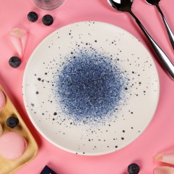 6 ASSIETTES PLATES SANS AILE 27 CM APHRODITE BLEU & BLANC