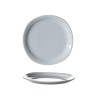 6 ASSIETTES PLATES OSLO  245X235 MM