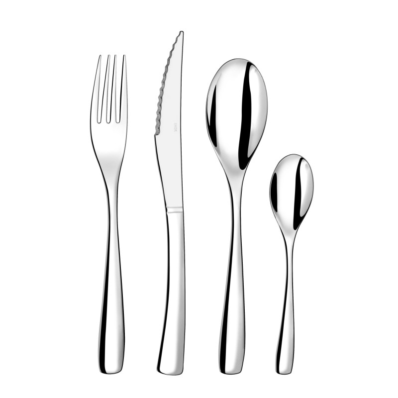 Lot de 12 cuillères de table DANUBE