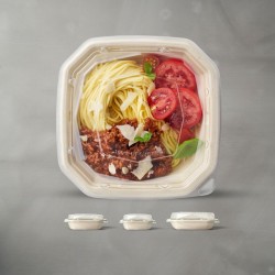 300 COUVERCLES POUR BOITE OCTABAGASSE 160X160X39MM