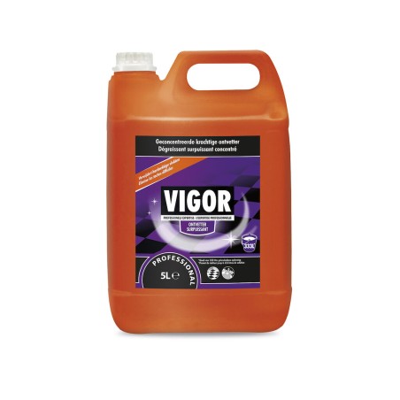 VIGOR SURPUISSANT 5L