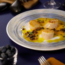 6 ASSIETTES PLATES SANS AILES 27 CM NYX BLANC.BLEU & ARGENT