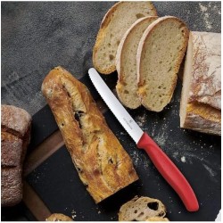 SET 2 PIECES VICTORINOX SWISSCLASSIC ROUGE