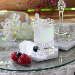 6 VERRES BARGLASS SHOT