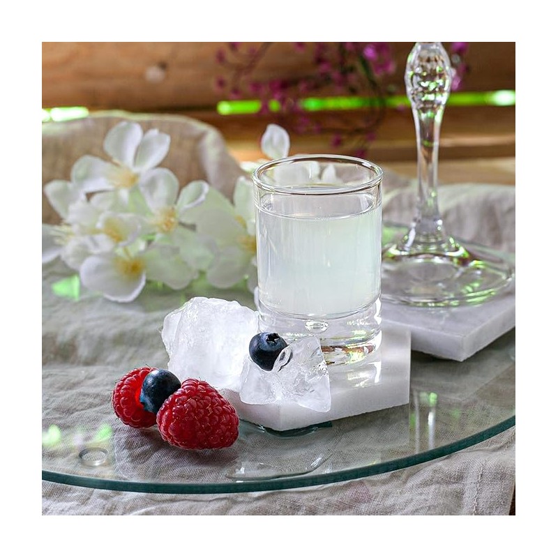 6 VERRES BARGLASS SHOT