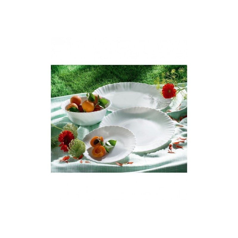 24 ASSIETTES DESSERTS FESTON 19CM