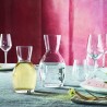 6 CARAFES A VIN 100CL YPSILON