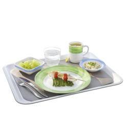 6 ASSIETTES PLATES 15.5CM RESTAURANT  VERT