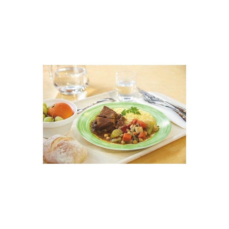 6 ASSIETTES PLATES 19.5CM VERT