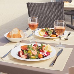 12 VERRES A PIEDS 14,5 ELEGANCE