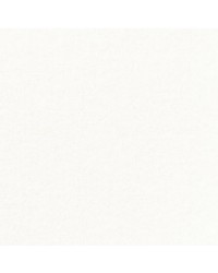 1250 SERVIETTES OUATE 2 PLIS 40X40CM BLANC