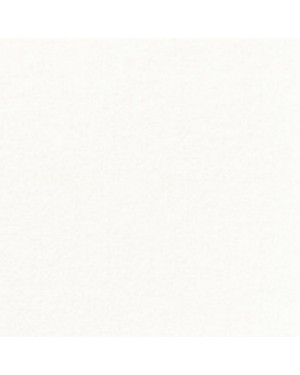 1250 SERVIETTES OUATE 2 PLIS 40X40CM BLANC