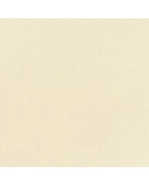 SERVIETTES OUATE 2 PLIS 40X40CM CREME