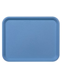 45 PLATEAUX FAST FOOD CIEL 35 X 27.2 CM