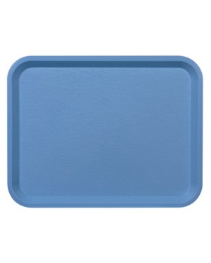 45 PLATEAUX FAST FOOD CIEL 35 X 27.2 CM