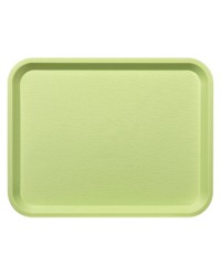 45 PLATEAUX FAST FOOD ANIS 35 X 27.2 CM