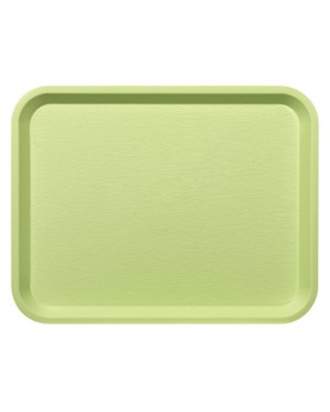 45 PLATEAUX FAST FOOD ANIS 35 X 27.2 CM