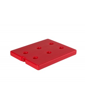 Plaque eutectique chaude GN1/2