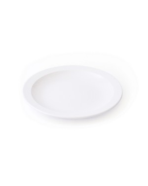 10 ASSIETTES PLATES 22.5 CM MELAMINE BLANCHE