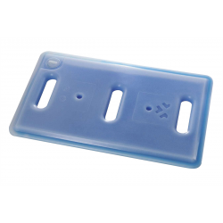 PLAQUE EUTECTIQUE SURGELEE GN1/1