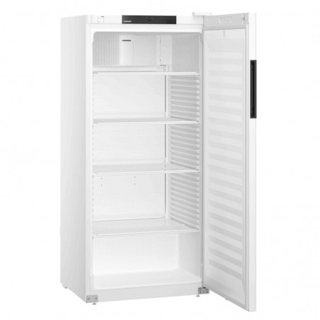 ARMOIRE DE STOCKAGE 544L