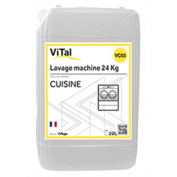 Vital cuisine lavage machine 20l