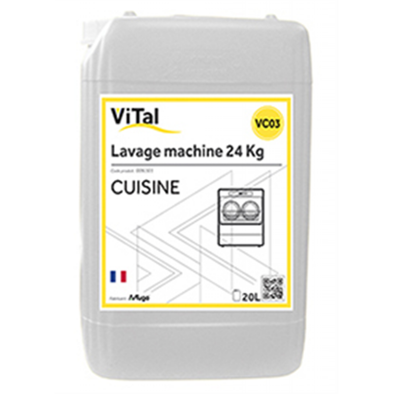 Vital cuisine lavage machine 20l