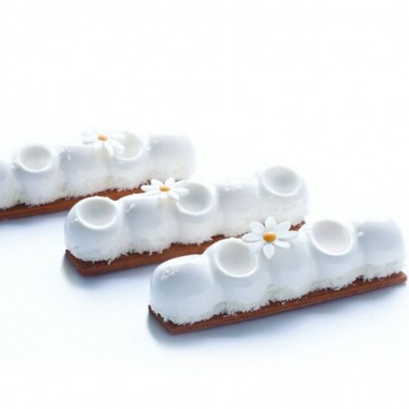 MOULE PASSION PAVONI