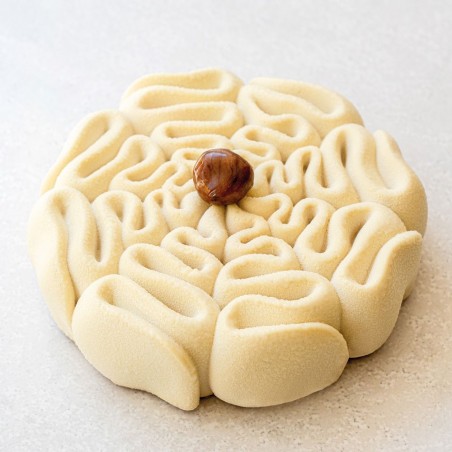 Moule Dentelle Pavoni par Cédric Grolet