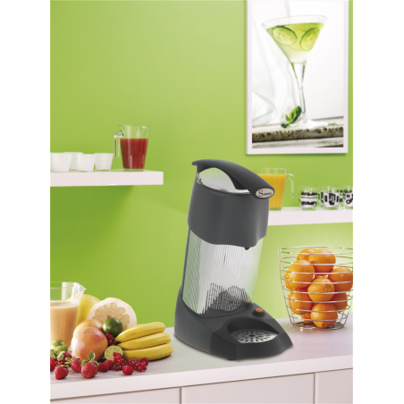 PRESSE AGRUMES A LEVIER  EVOLUTION