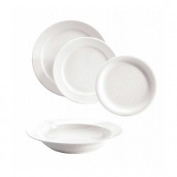 10 ASSIETTES PLATES 24CM UNISET