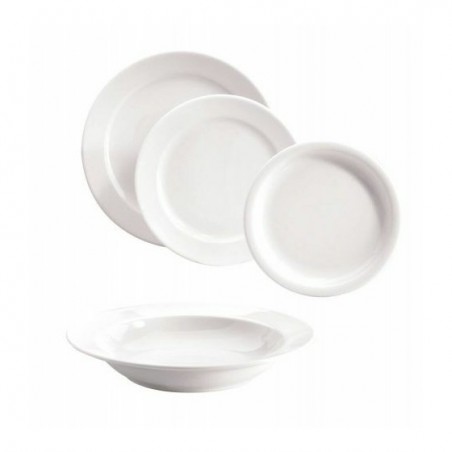 10 ASSIETTES PLATES 24CM UNISET