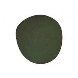 6 ASSIETTES DE PRESENTATION 32CM PONT JAPONAIS