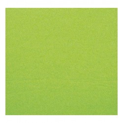 2400 SERVIETTES OUATE 2 PLIS 38 X 38 KIWI