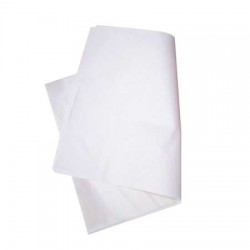 PAPIER BOUCHERIE INGRAISSABLE 250X320MM