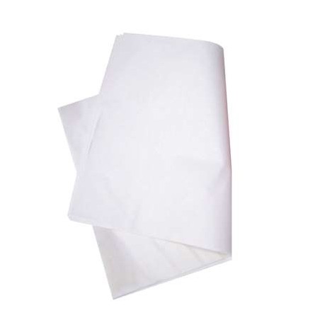 PAPIER BOUCHERIE INGRAISSABLE 250X320MM