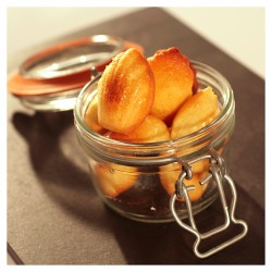 ELASTOMOULE PLAQUE DE 30 ALVEOLES- MINI MADELEINE