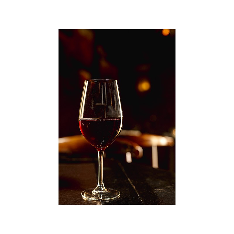 6 VERRES A PIEDS MALBEC 47CL