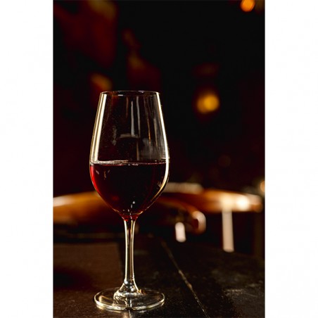 6 VERRES A PIEDS MALBEC 47CL