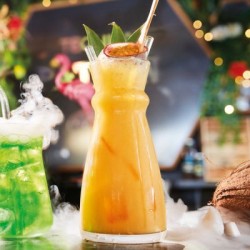 6 CARAFES 0,5L FLUID